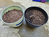 Two Plastic Self-Watering  Planters w/Dirt