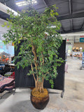 Very Large Faux Ming Aralia Tree in Basket