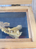 (B) Crystallized Gold of Farncomb Hill Replica