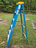 Werner 6' Fiberglass Ladder