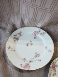 Lot of 5 Floral Plates