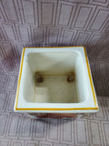 Pineapple and Strawberry Square Planter