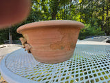 Large Shallow Terracotta Planter w/Flower Embellishment