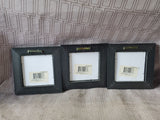 Lot of 3 Small Framed Seashell Prints