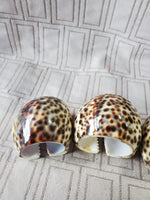 Set of 4 Tiger Cowrie Napkin Rings