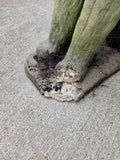 Terrier Cement Garden Statue