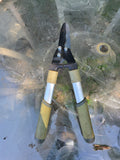 Hedge Shears