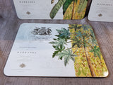 Lot of 3 Colonial Williamsburg "Tropical" Placemats (B)