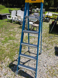 Werner 6' Fiberglass Ladder - A