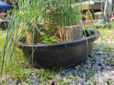 Multi-Tier Plastic Planter w/Plants and Oversized Plastic Saucer