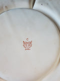 Hand Painted Ceramic Asian Inspired Divided Serving Dish