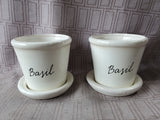 Pair of Ceramic "Basil" Planters