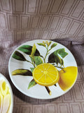 Lot of 3 ValoriHome Lemon Salad Plates