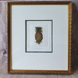 Signed and Numbered "Hospitality" Print by Barbie Tidwell