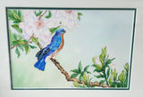 Bluebird Watercolor Print