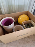 Lot of Small Planter Pots