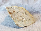 Signed Carved Stone Bird Paperweight